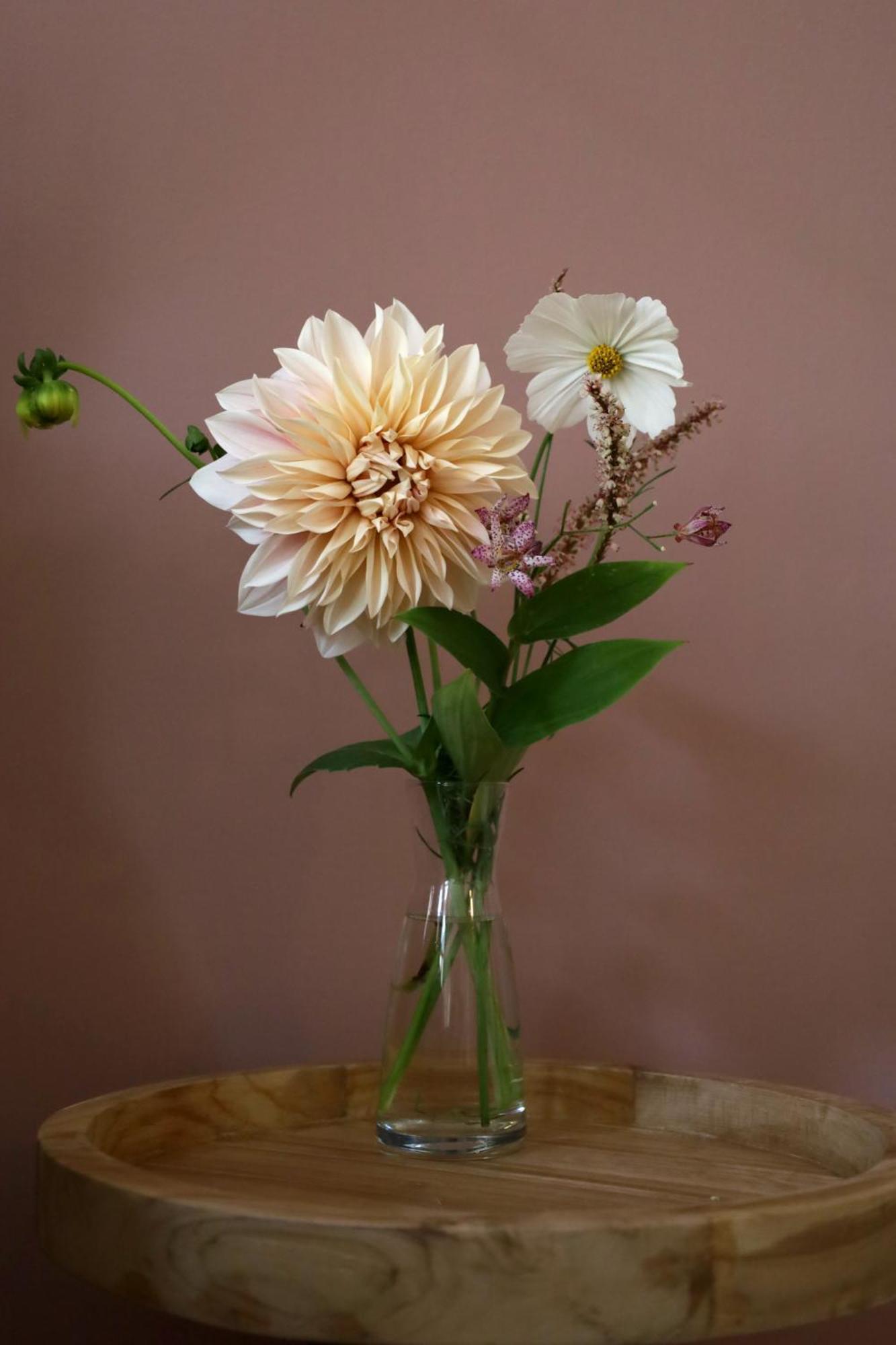 Bij Joseph Bed & Breakfast 's-Hertogenbosch  ภายนอก รูปภาพ